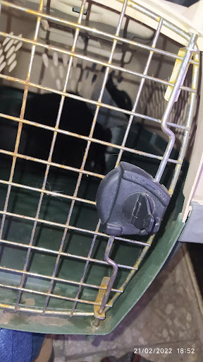 Veterinary Care Mi +Kotyta - Thumbnail
