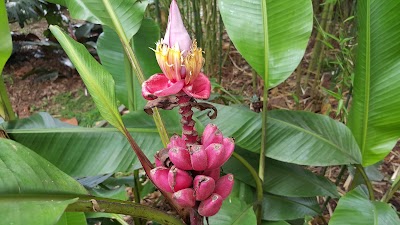 Photos of Parque Lineal La Presidenta