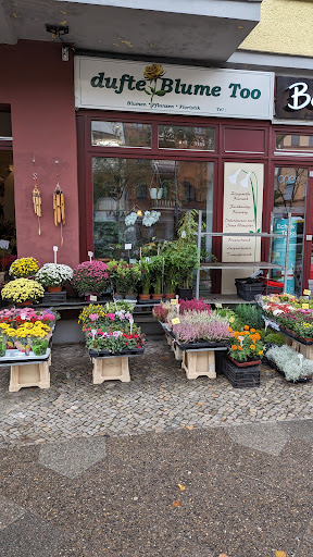 dufte Blume Too