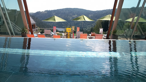 Albtalblick - Thumbnail