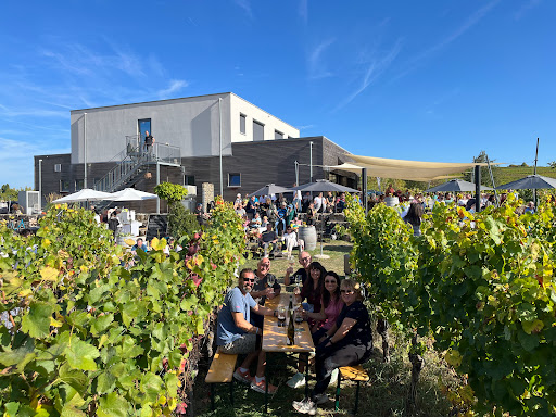 Weingut Glaser - Visual