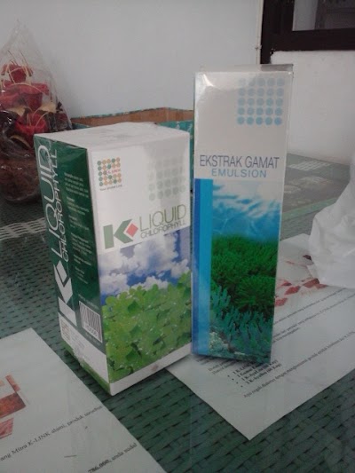 Photos of DISTRIBUTOR K-LINK | Endi Lukman