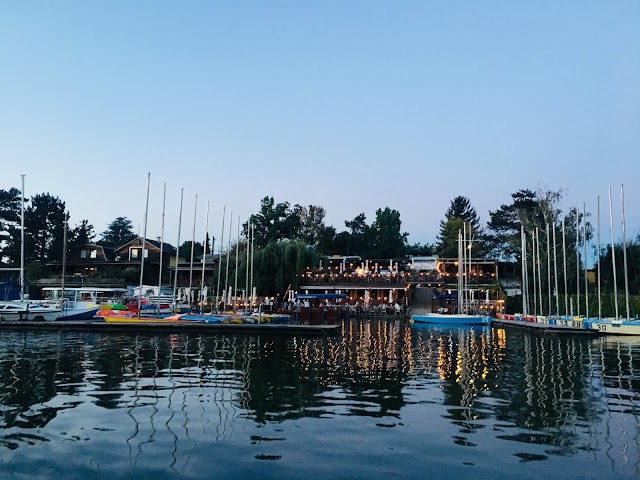 Marina Hofbauer - Hofbauer Holding Ges.m.b.H.