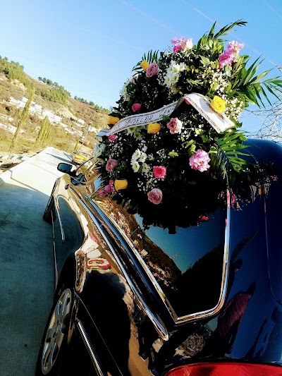 Agjensi Funerale "HABIBI"