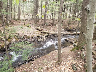 Mosher Hill Falls