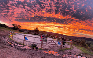 Photo n°16 de Equitalliance - Centre de formation à Cressanges (École privée)