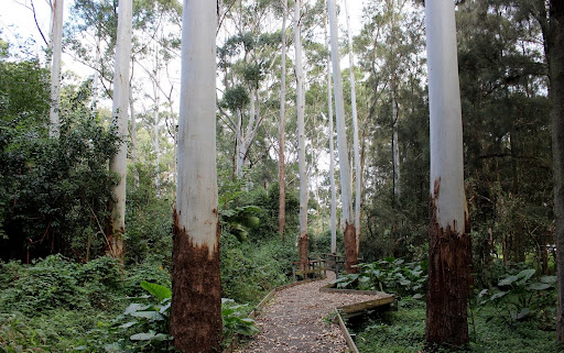 Sir Phillip Game Reserve South