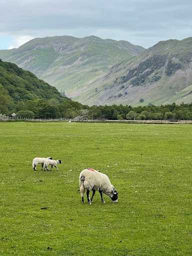 Sykeside Camping Park - Thumbnail