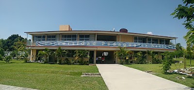 university
