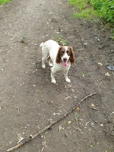 Vets4Pets - Dewsbury - Thumbnail