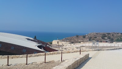 Photos of Demetris Taxis