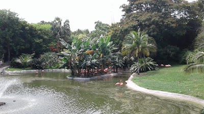 Photos of Jungle Island