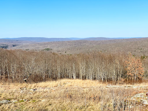 Taum Sauk Lookout Tower - Thumbnail