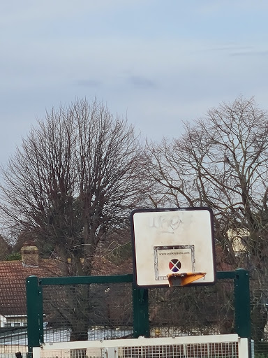 Lawns Park Ball Court - Thumbnail