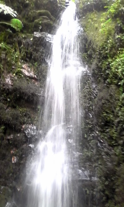 Photos of Parque Verde Y Agua