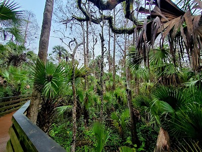 Black Bear Wilderness Trailhead