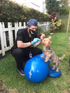 Fotografía de MoviTeam Vet- Neurología, Ortopedia y Rehabilitación Veterinaria Del propietario