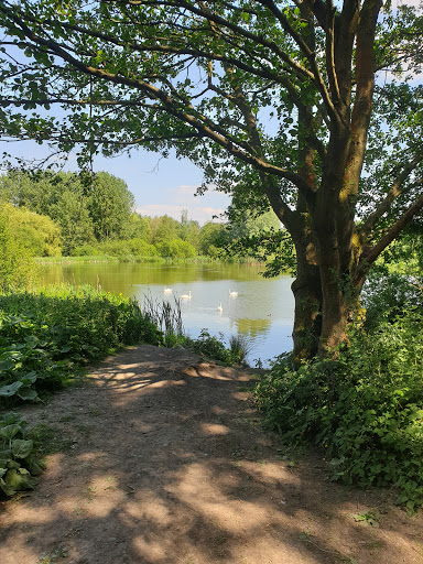 Low Hall Car Park - Thumbnail