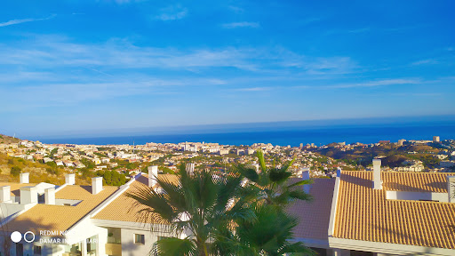 Damar Inmobiliarias