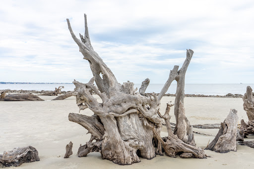 Marshland Credit Union - Thumbnail