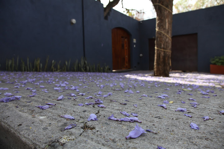 La Betulia Bed and Breakfast by null