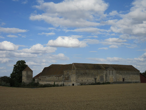 Château d'Esmans (XIIIè, XIVè)