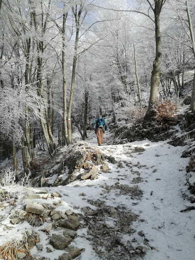 Parcheggio di Carpegna - Thumbnail