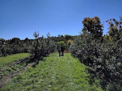 Photos of Nature's Bounty