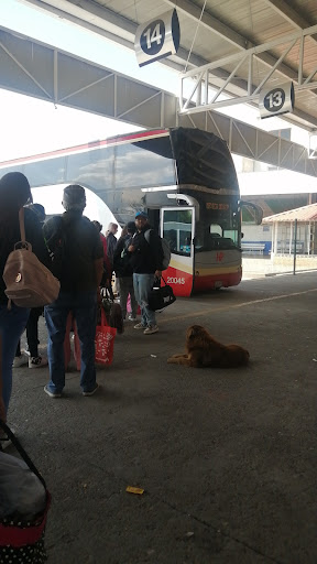Central de autobuses de Maravatío - Thumbnail