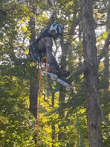 Gutierrez Tree Service