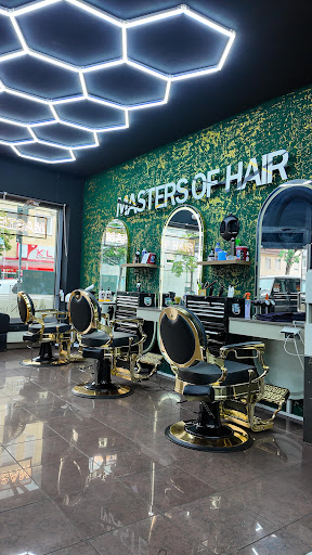 Masters of Hair / Baderwastl