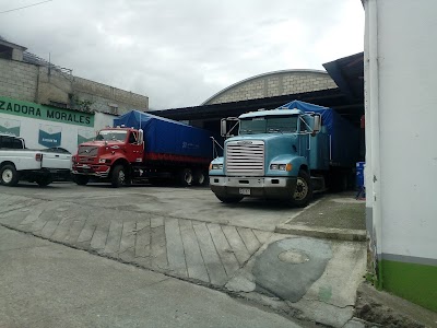 Photos of COMERCIALIZADORA MORALES S.A