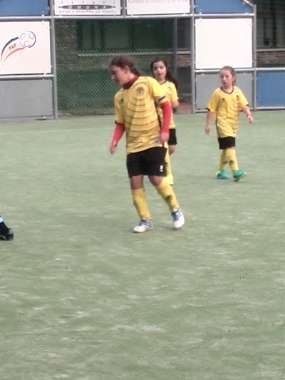 stadium
