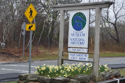 Cape Cod Museum Of Natural History