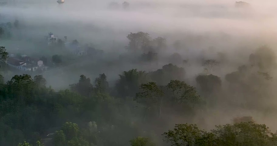 Kasara Chitwan - Jungle Resort In Chitwan by null