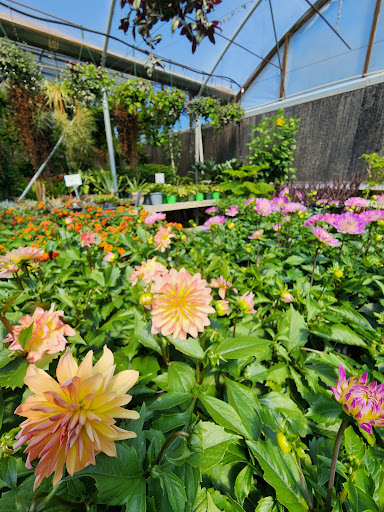 Matkins Flowers & Greenhouse - Thumbnail