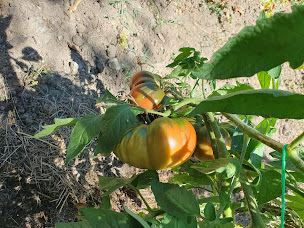 Photo n°20 de Dyanaevents à Saint-Brice-sous-Forêt (Restaurant)