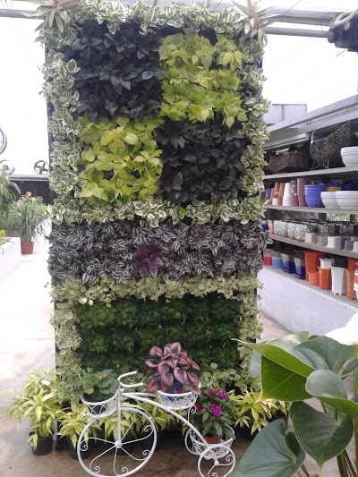 Photos of Agro Tech Green House Brunei