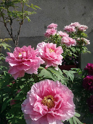 Photo n°24 de La Pie qui Chante à Saint-Lamain (Chambre d'hôtes)