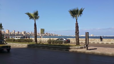 Photos of Alexandria Regional Centre for Women's Health and Development