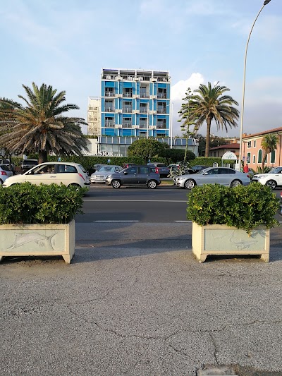 Photos of Hotel Excelsior