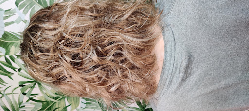 Salon '75 - Visual
