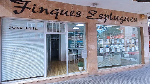 Finques Esplugues - Visual