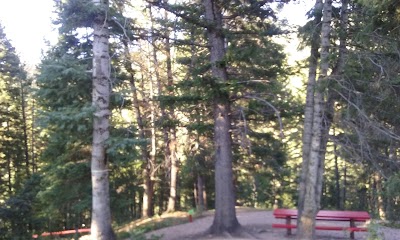 Photos of Camp Aerie