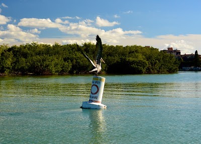 Photos of Bonita Jetski & Parasail
