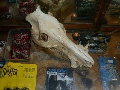 Photos of Hoddywell Archery Supplies & Park