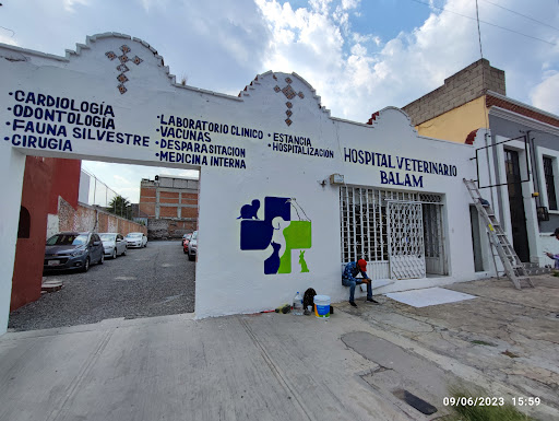 Hospital veterinario BALAM CENTRO