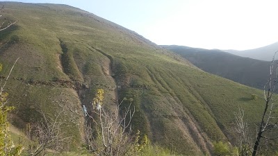 Photos of پلنگ دره مج