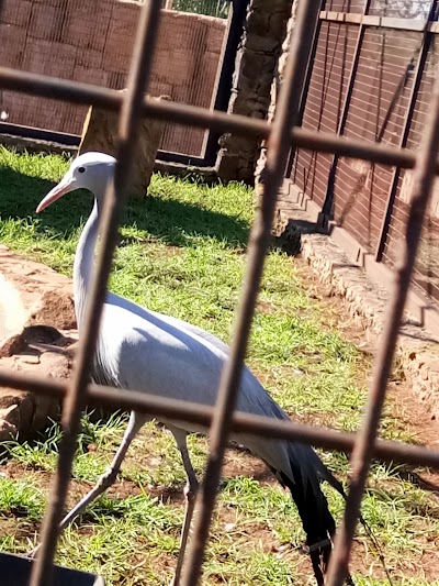Photos of Jardim zool&oacute;gico