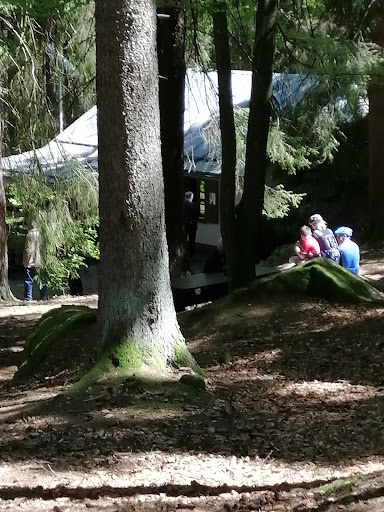 Ringelfelsen - Visual
